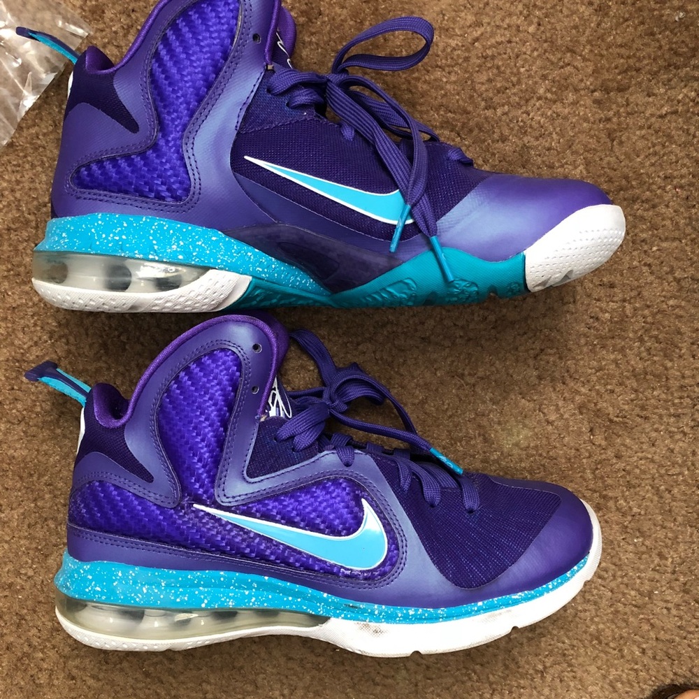 Lebron Hornet 9s